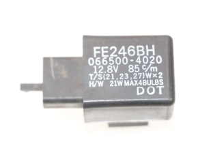 CENTRALE CLIGNOTANTE