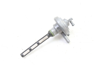 DEPRESSION RESERVOIR