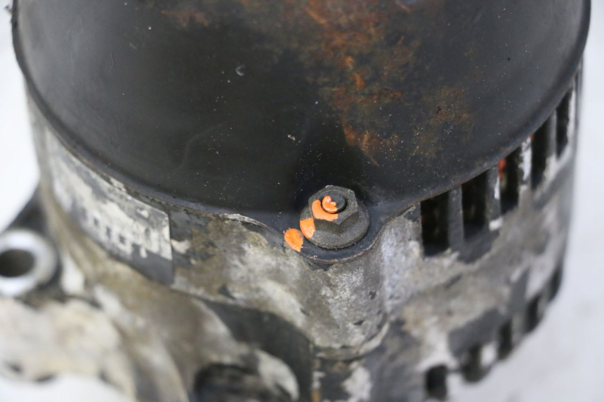 photo de ALTERNADOR TRIUMPH SPRINT 900 (1995 - 1998) - Zoom estado de uso