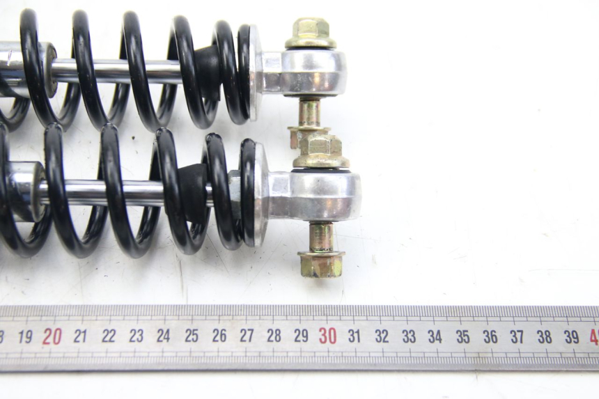 photo de AMORTIGUADOR TRASERO EFUN E2GO 1 (2017 - 2021) - Primer plano técnico