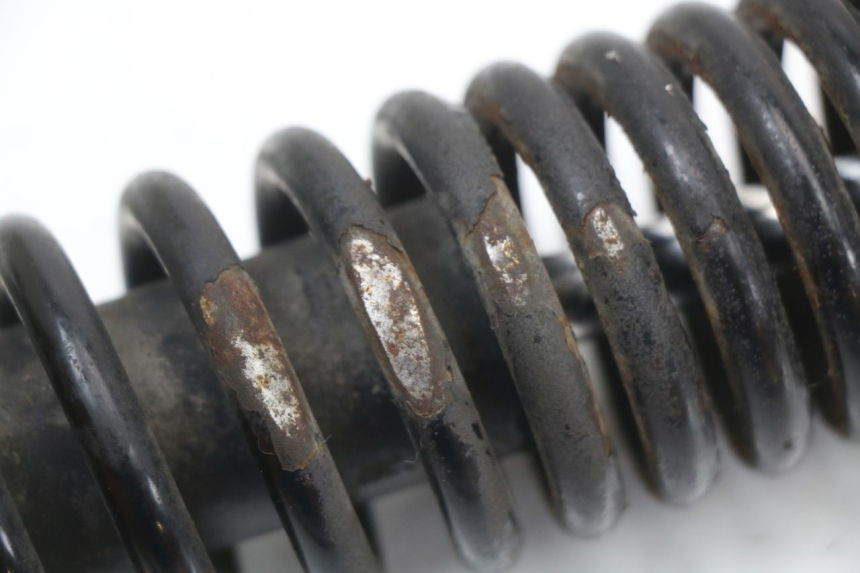 photo de AMORTIGUADOR TRASERO PIAGGIO NEW TYPHOON 50 (2018 - 2021) - Vista general del producto