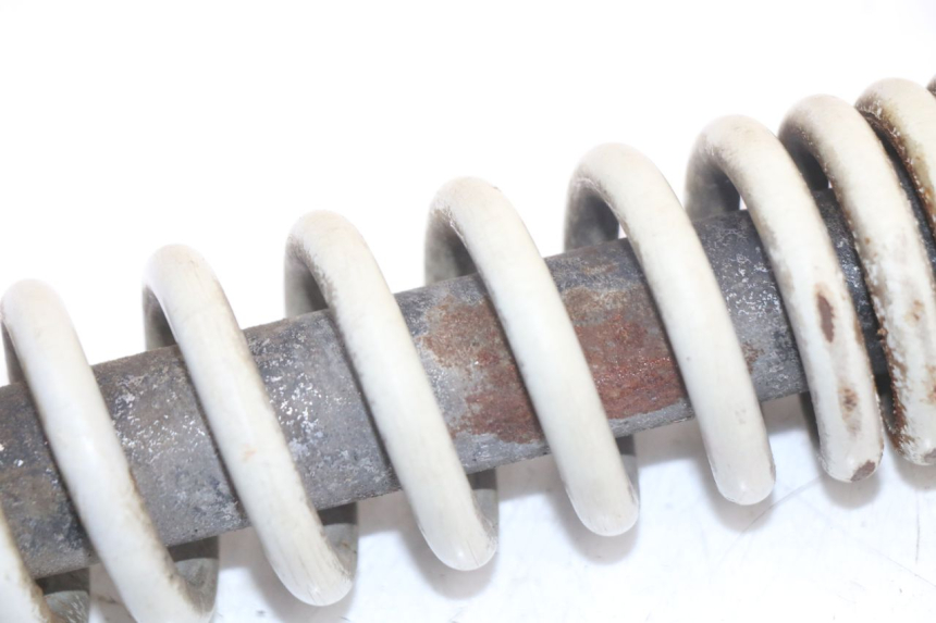 photo de AMORTIGUADOR TRASERO PIAGGIO TYPHOON 50 (2000 - 2009) - Vista general del producto