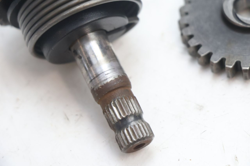 photo de EJE PEDAL ARRANQUE DERBI SENDA 50 (2003 - 2005) - Zoom estado de uso