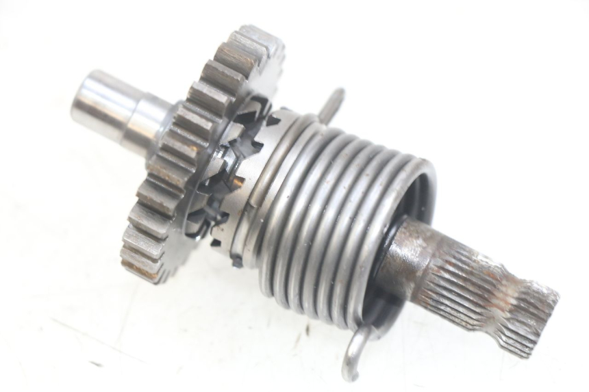 photo de EJE PEDAL ARRANQUE GAS-GAS SM ROOKIE 50 (2001 - 2005) - Vista principal