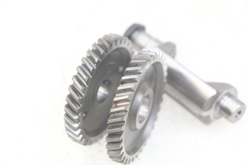 photo de BALANCEADOR DEL MOTOR PEUGEOT XP6 50 (2006 - 2011) - Zoom estado de uso