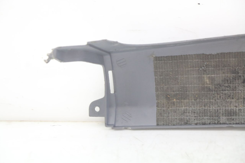 photo de FALDóN LATERAL TRASERO DERECHO HONDA FES PANTHEON 2T 125 (1998 - 2002) - Zoom estado de uso