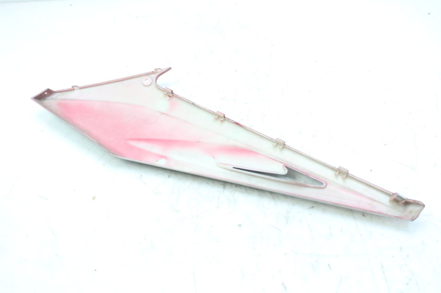 photo de FALDóN LATERAL DERECHO WAYSCRAL E-SPEED 1 (2022 - 2024) - Detalle de la pieza