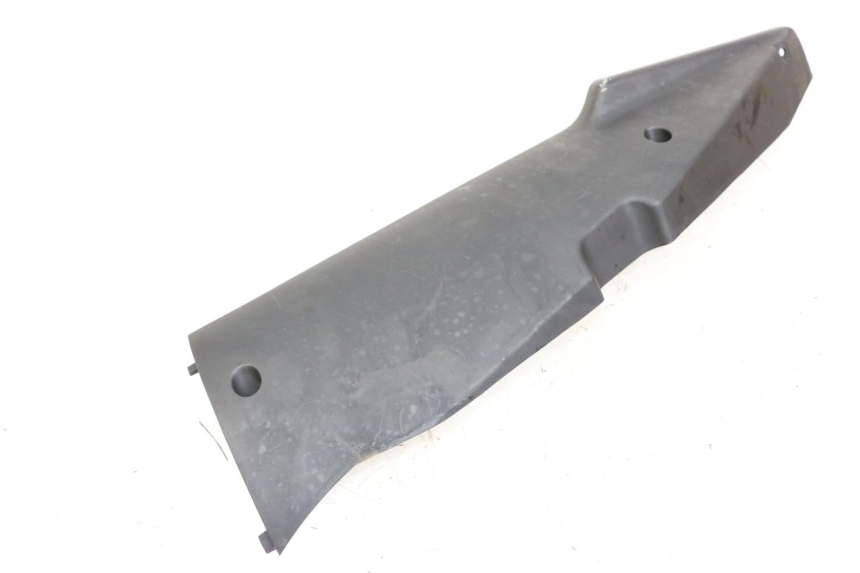 photo de FALDÓN IZQUIERDO DAELIM A-FOUR 2T 50 (2005 - 2012) - Primer plano técnico