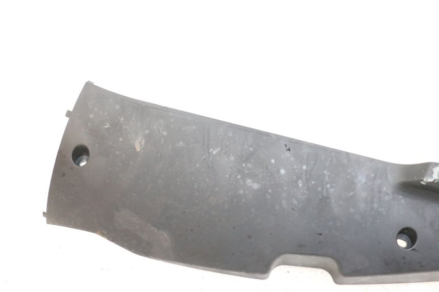 photo de FALDÓN IZQUIERDO DAELIM A-FOUR 2T 50 (2005 - 2012) - Vista general del producto