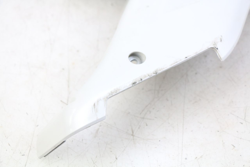 photo de FALDóN IZQUIERDO DAELIM S3 125 (2010 - 2017) - Recambio usado revisado