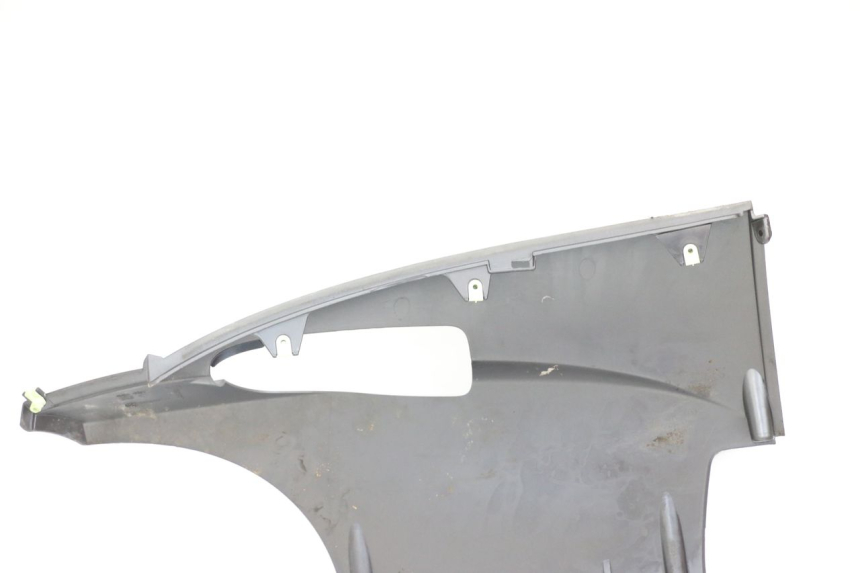 photo de Faldón PEUGEOT GEOPOLIS RS 125 (2007 - 2009) - Primer plano técnico