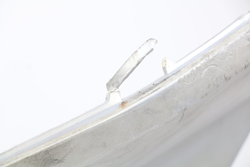 photo de FALDONES PEUGEOT SATELIS 125 (2010 - 2012) - Vista general del producto