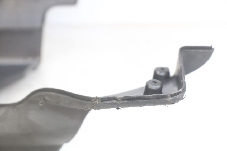 photo de FALDóN APRILIA SCARABEO LIGHT 125 (2007 - 2011) - Zoom estado de uso