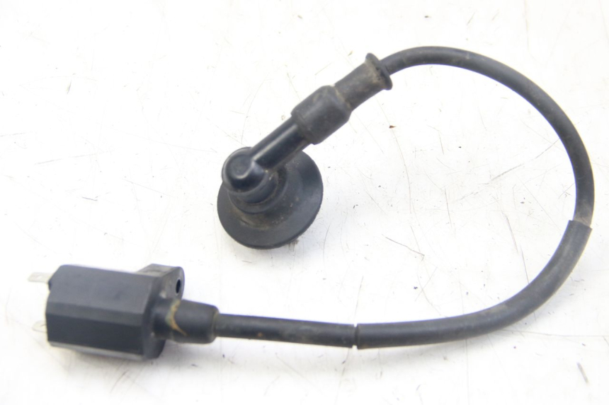 photo de BOBINA PGO BIG MAX 50 (2001 - 2009) - Vista principal