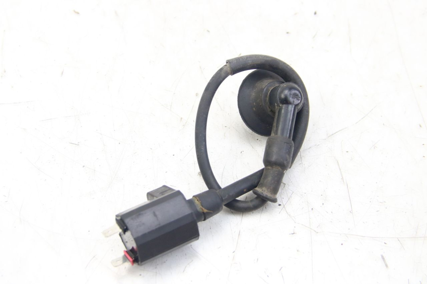 photo de BOBINA PGO BIG MAX 50 (2001 - 2009) - Detalle de la pieza