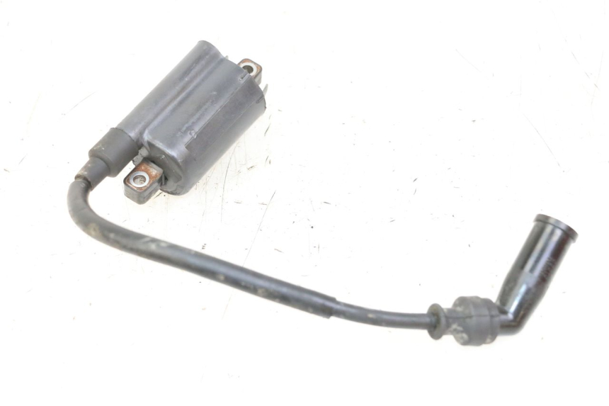 photo de BOBINA SUZUKI BURGMAN 125 (2007 - 2014) - Vista principal