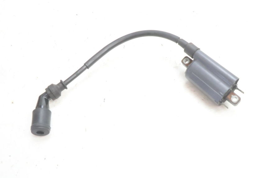photo de BOBINA SUZUKI BURGMAN 125 (2007 - 2014) - Vista general del producto