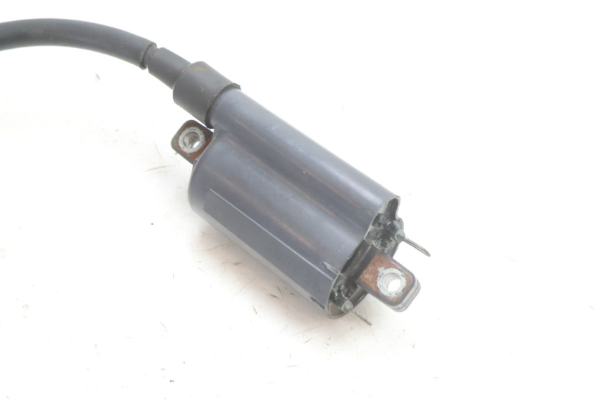 photo de BOBINA SUZUKI BURGMAN 125 (2007 - 2014) - Estado de la superficie y material