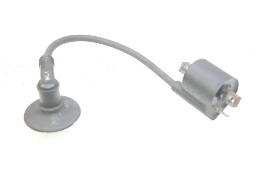 photo de BOBINA YAMAHA BW'S EASY 50 (2013 - 2016) - Detalle de la pieza