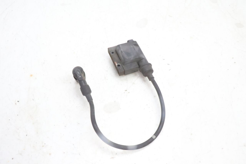 photo de BOBINA PEUGEOT CITYSTAR 125 (2011 - 2017) - Primer plano técnico