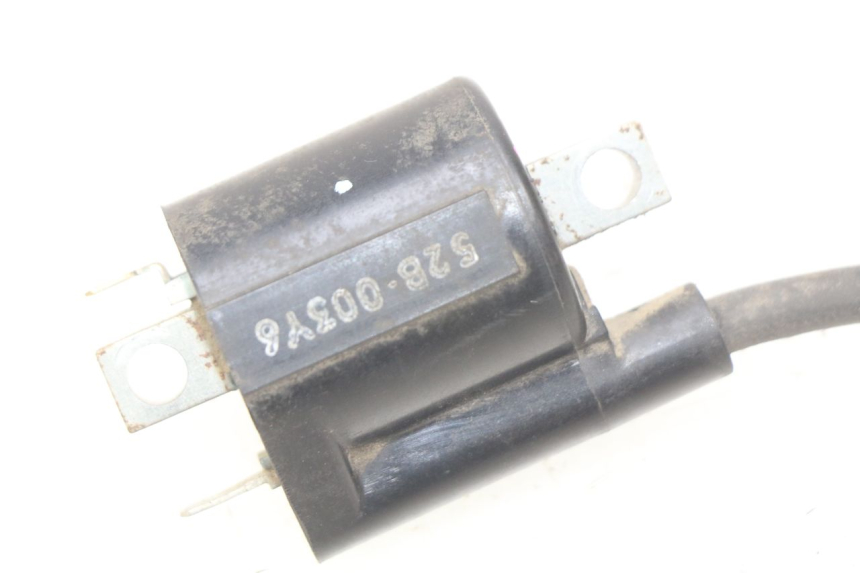 photo de BOBINA YAMAHA D'ELIGHT DELIGHT 115 (2013 - 2017) - Zoom estado de uso