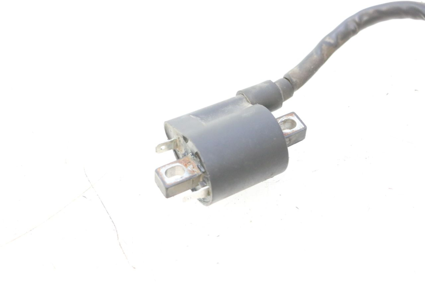photo de BOBINA JM MOTORS F45i 4T 50 (2020 - 2023) - Detalle de la pieza