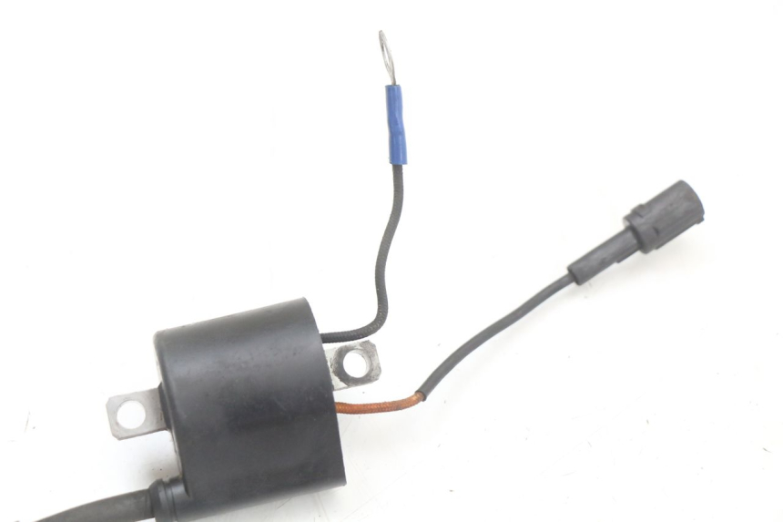 photo de BOBINA KAWASAKI KX 85 (2014 - 2021) - Otra perspectiva