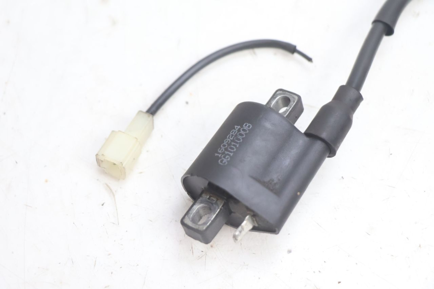 photo de BOBINA LONGJIA LJ50QT 8M 2T 50 (2010 - 2017) - Detalle de la pieza