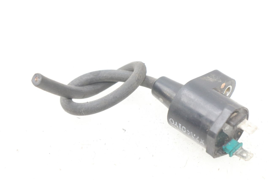 photo de BOBINA PEUGEOT LUDIX 50 (2008 - 2017) - Zoom estado de uso