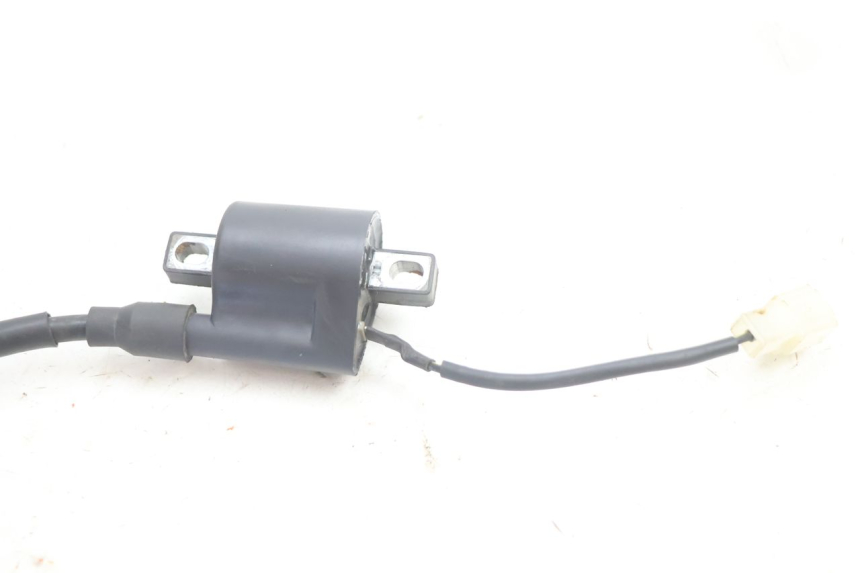 photo de BOBINA IMF INDUSTRIE PACH 2T 50 (2009 - 2013) - Vista general del producto