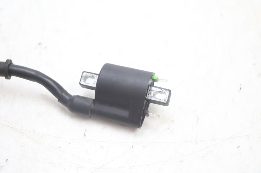 photo de BOBINA JM MOTORS R-MAX TECH 50 (2024 - 2026) - Zoom estado de uso