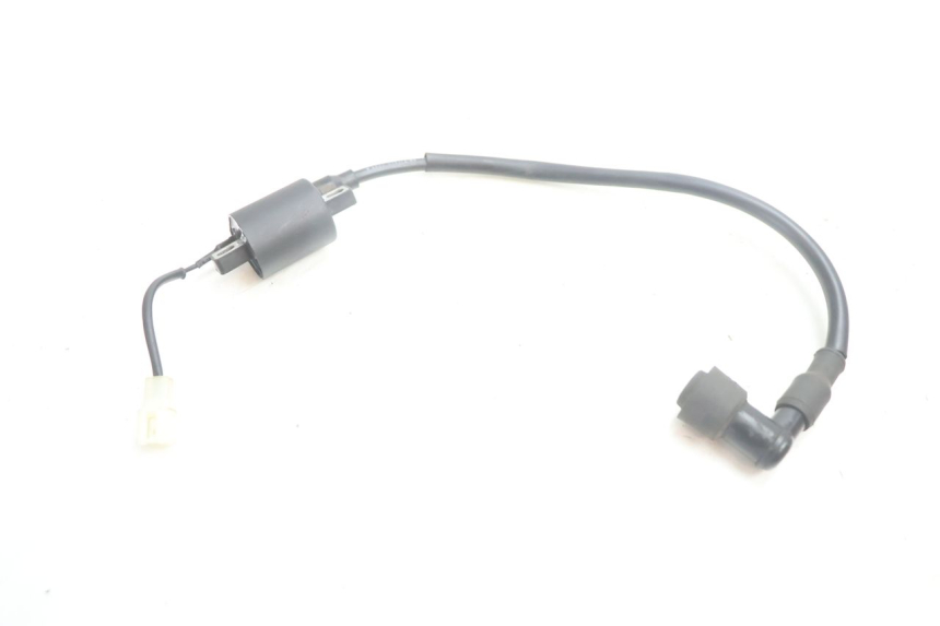 photo de BOBINA TNT MOTOR ROMA 10' 2T 50 (2011 - 2018) - Primer plano técnico