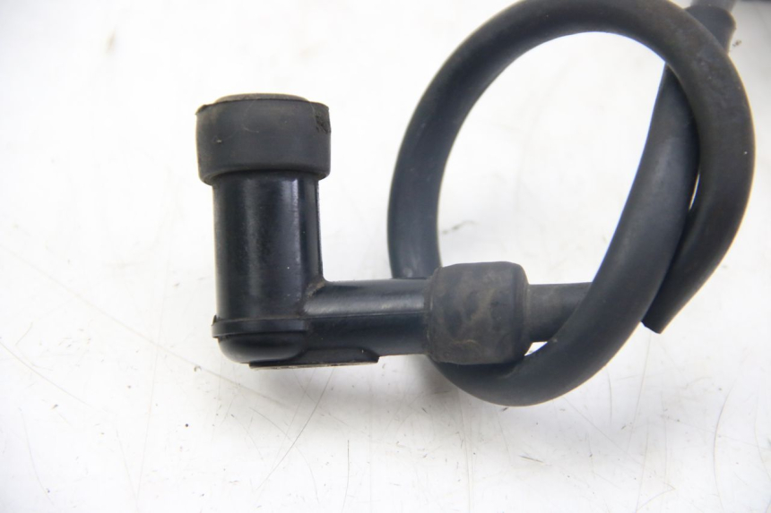 photo de BOBINA TNT MOTOR ROMA 12' 2T 50 (2007 - 2018) - Otra perspectiva