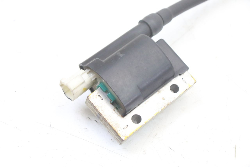 photo de BOBINA ROYAL ENFIELD HYMALAYAN 410 (2016 - 2023) - Detalle de la pieza