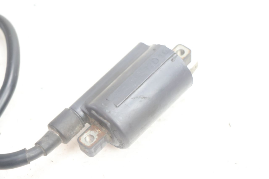 photo de BOBINA APRILIA SCARABEO GT 125 (1999 - 2007) - Vista general del producto
