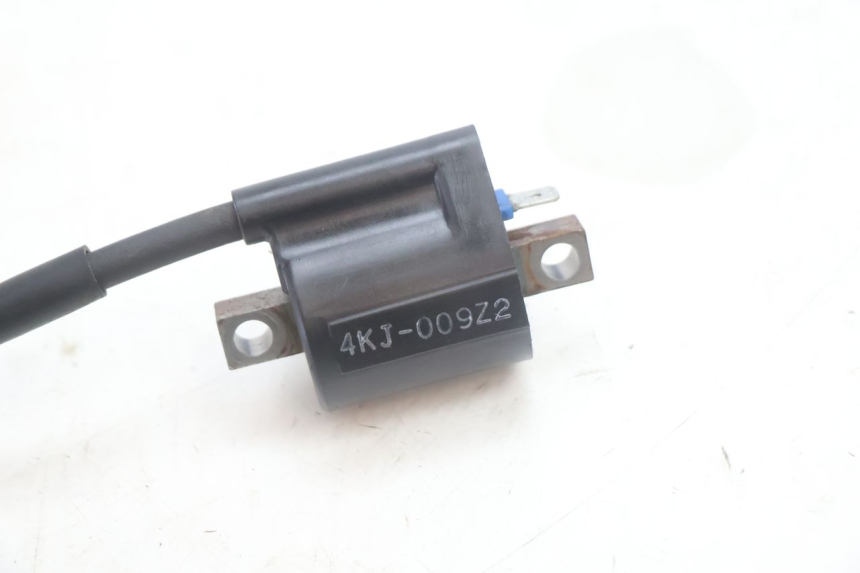 photo de BOBINA YAMAHA SLIDER 50 (1999 - 2004) - Vista general del producto