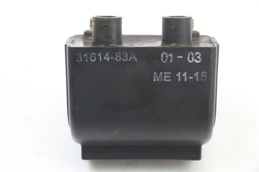 photo de BOBINA HARLEY DAVIDSON SPORTSTER XL CUSTOM 1200 (2003 - 2004) - Otra perspectiva