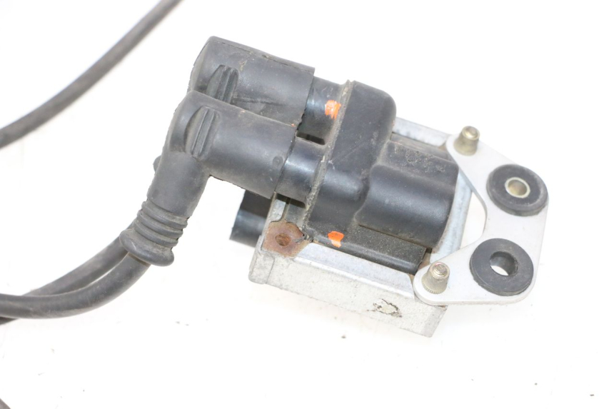photo de BOBINA DUCATI SS IE DS CARENEE 1000 (2002 - 2006) - Características distintivas