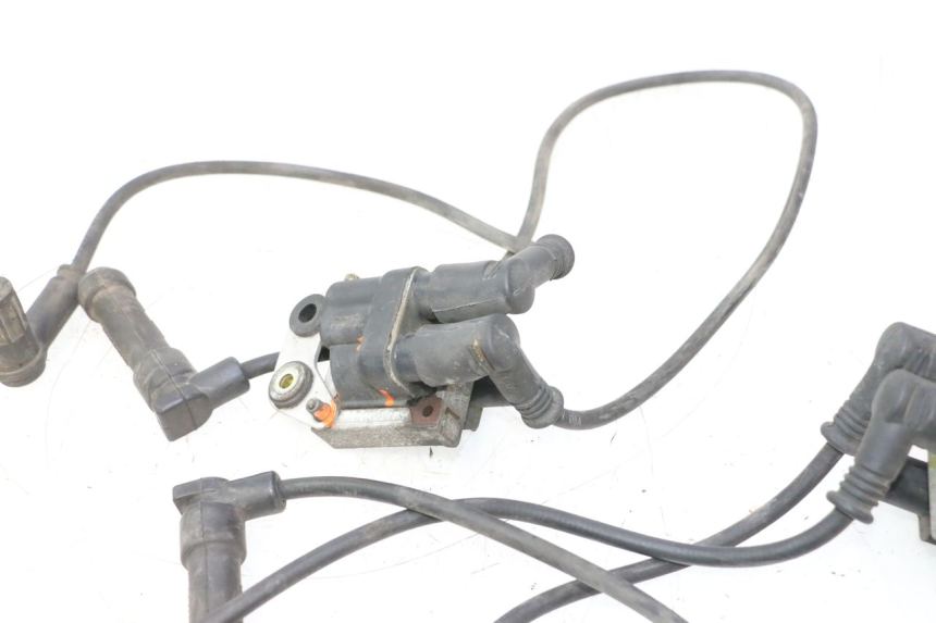 photo de BOBINA DUCATI SS IE DS CARENEE 1000 (2002 - 2006) - Recambio usado revisado