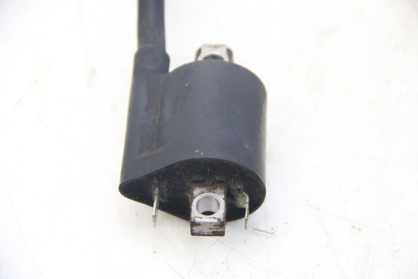 photo de BOBINA YAMAHA XMAX X-MAX 125 (2006 - 2009) - Zoom estado de uso