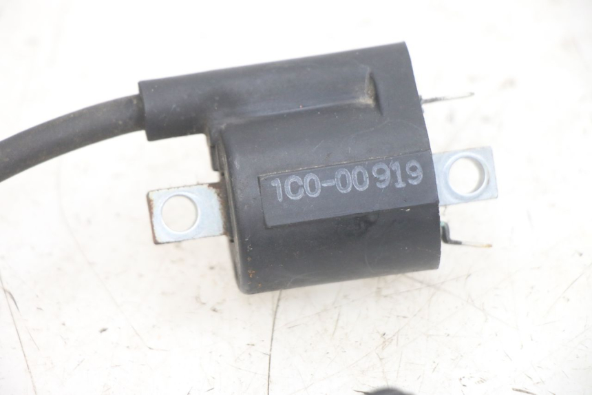 photo de BOBINA YAMAHA X-MAX XMAX 250 (2006 - 2009) - Zoom estado de uso