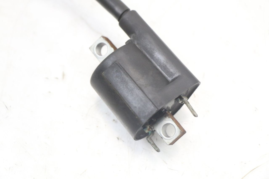 photo de BOBINA YAMAHA X-MAX XMAX 250 (2006 - 2009) - Zoom estado de uso