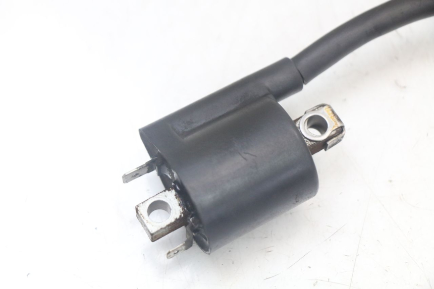 photo de BOBINA YAMAHA XMAX X-MAX 125 (2006 - 2009) - Zoom estado de uso