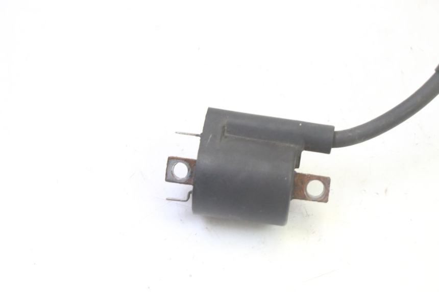 photo de BOBINA YAMAHA X-MAX XMAX 125 (2010 - 2013) - Vista general del producto