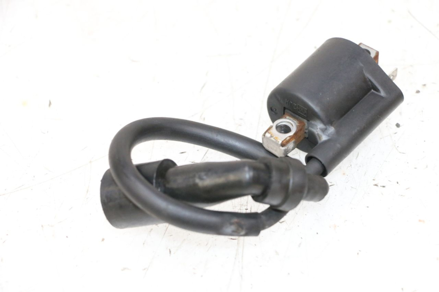 photo de BOBINA YAMAHA XMAX X-MAX 125 (2006 - 2009) - Detalle de la pieza