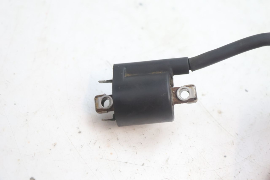 photo de BOBINA YAMAHA XMAX X-MAX 125 (2006 - 2009) - Detalles de los puntos de fijación