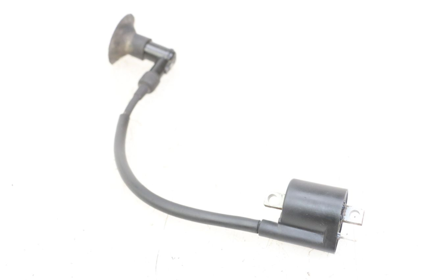 photo de BOBINA YAMAHA NEO'S NEOS 2T EASY 50 (2013 - 2016) - Zoom estado de uso