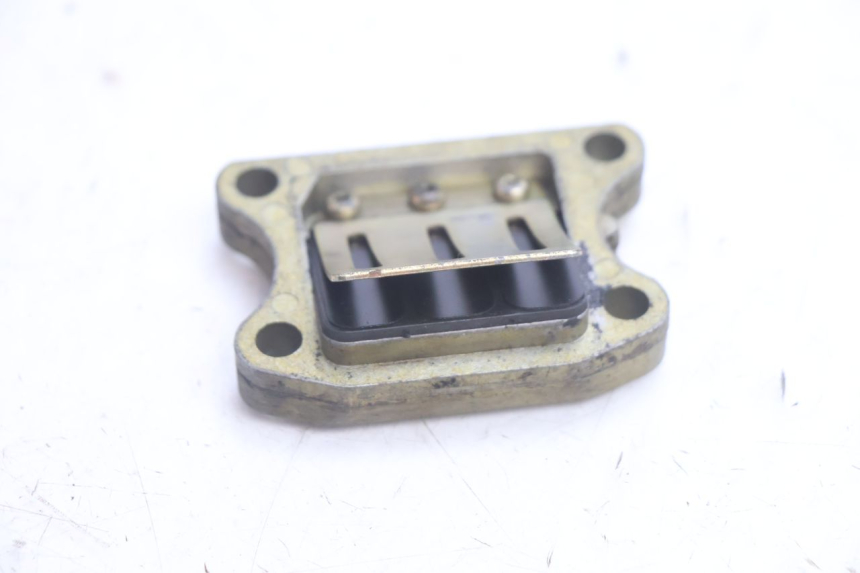 photo de CAJA DE LáMINAS PEUGEOT BUXY 50 (1993 - 1998) - Detalle de la pieza
