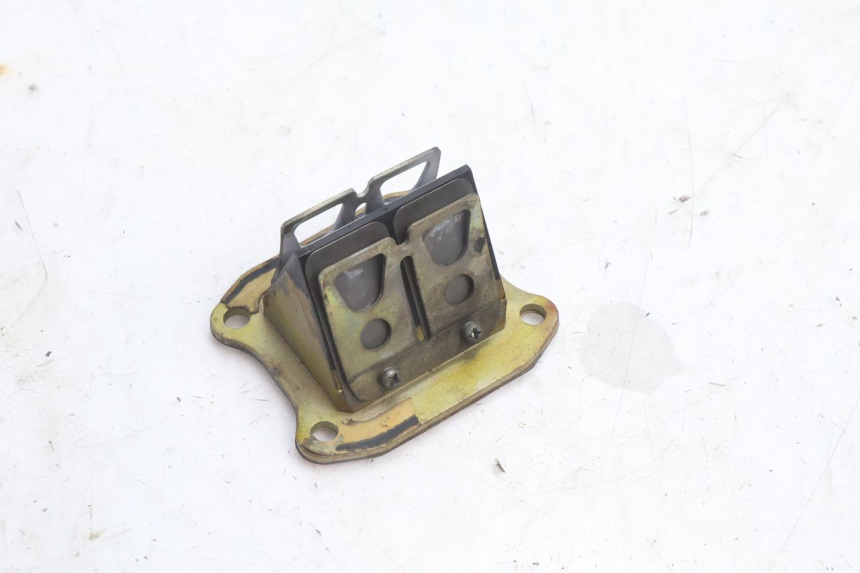 photo de ADMISION HONDA FES PANTHEON 2T 125 (1998 - 2002) - Vista principal