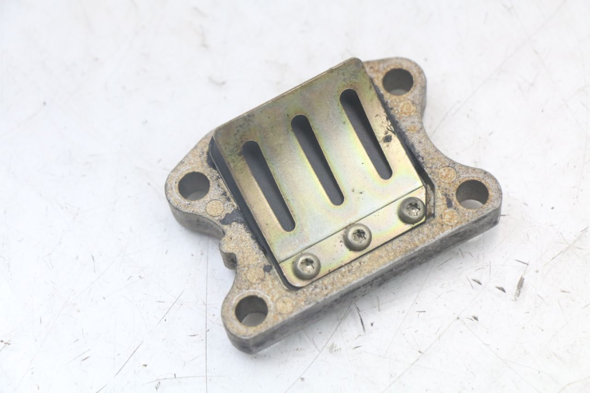 photo de CAJA DE LáMINAS PEUGEOT SPEEDFIGHT 100 (1997 - 2007) - Vista principal